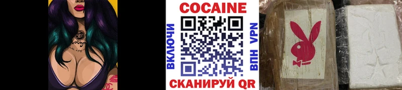 кракен ссылки  Железноводск  Cocaine Эквадор 