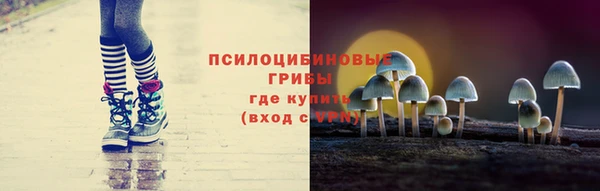spice Беломорск